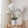 Eglo - Kunstplant in pot 65x50 cm orchidee
