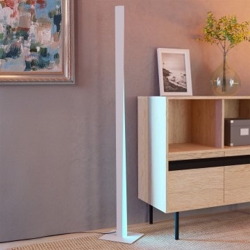 Eglo - Lampadaire dimmable LED RGBW, LED/10,5W/230V + LED/15,2W, gris