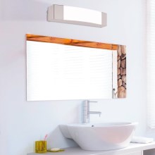 Eglo - Lampe miroir LED salle de bain LED/8,3W/230V IP44