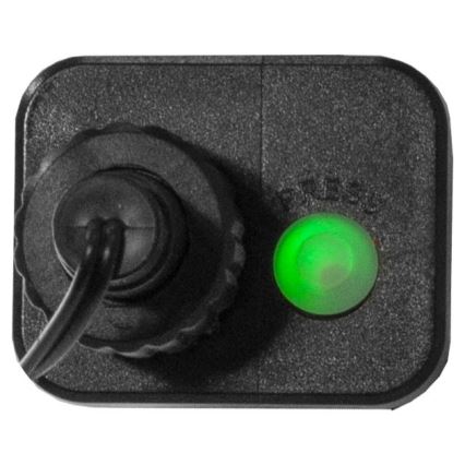 Eglo - Guirlande de Noël LED d'extérieur 300 LED / 8 fonctions 11m IP44 multicolore