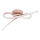 Eglo - LED Plafondlamp 2xLED/11W/230V