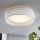 Eglo - LED plafondlamp LED/11W/230V
