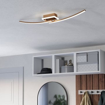 Eglo - LED Plafondlamp LED/12W/230V 4000K koper