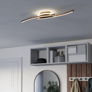 Eglo - LED Plafondlamp LED/12W/230V 4000K koper