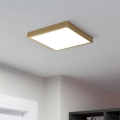 Eglo - LED plafondlamp LED/20,5W/230V