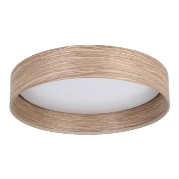 Eglo - LED Plafondlamp LED/24W/230V