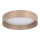 Eglo - LED Plafondlamp LED/24W/230V