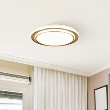 Eglo - LED-plafondlamp LED/36W/230V 2700/4000/6500K Ø 49 cm goudkleurig