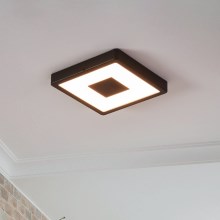 Eglo - LED Plafondlamp voor buiten LED/17W/230V IP44 zwart
