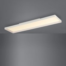 Eglo - LED Plafondverlichting dimbaar 1xLED/43W/230V wit