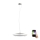 Eglo - LED RGB Hanglamp aan koord dimbaar MONEVA-C LED/27W/230V