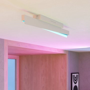 Eglo - LED RGBW dimbare plafondlamp LED/13W/230V 2700-6500K grijs