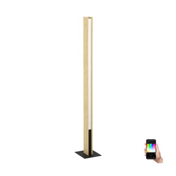 Eglo - LED RGBW Dimbare staande lamp LED/35W/230V 2700-6500K