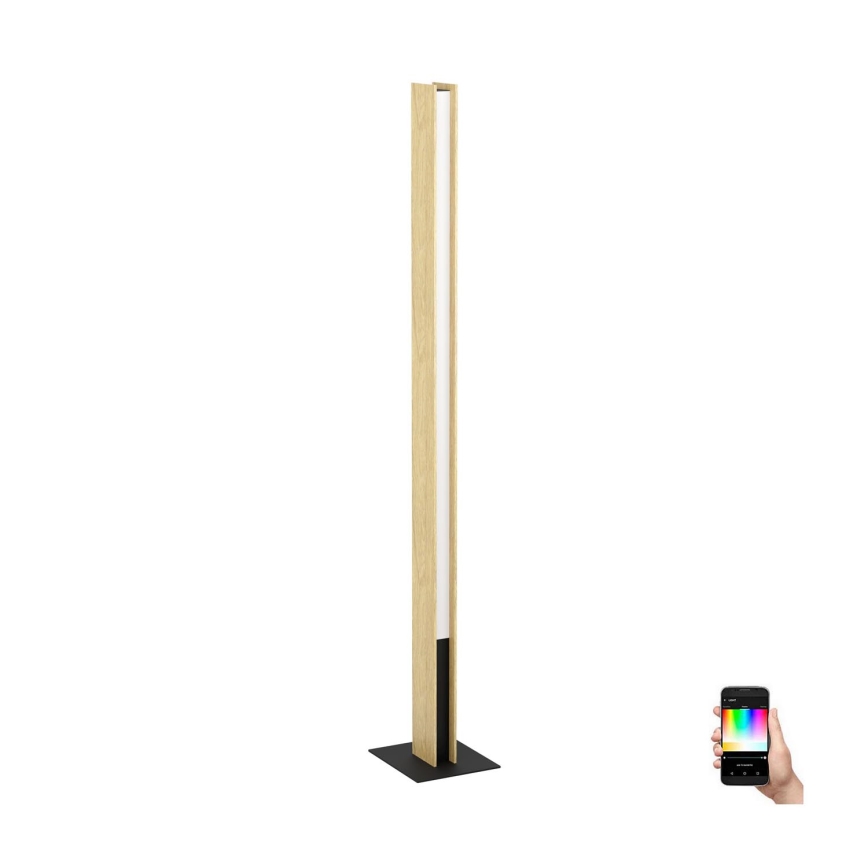 Eglo - LED RGBW Dimbare staande lamp LED/35W/230V 2700-6500K