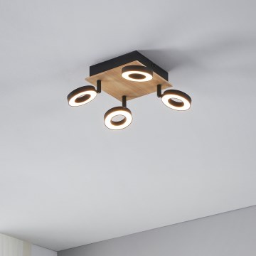 Eglo - LED spot 4xLED/4,2W/230V zwart/bruin