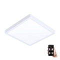 Eglo - Luminaire de salle de bains LED à intensité variable/19,5W/230V 2700-6500K IP44 blanc