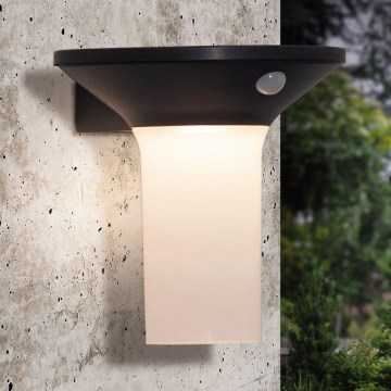 Eglo - Luminaire solaire d'extérieur LED avec détecteur 6xLED/0,03W/3,7V IP44