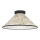 Eglo - Plafondlamp 1xE27/25W/230V