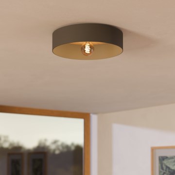 Eglo - Plafondlamp 1xE27/40W/230V grijs