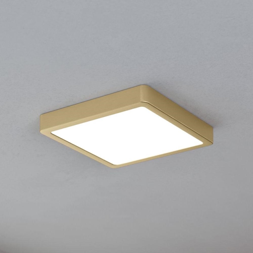 Eglo - Plafonnier LED/17W/230V 21x21 cm