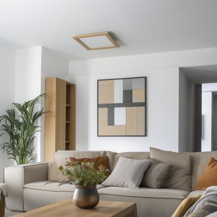 Eglo - panneau LED RGB dimmable à montage en surface SALOBRENA-C WOOD LED/24W/230V 2700-6500K 49,5x49,5 cm marron + télécommande