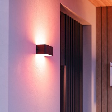 Eglo - RGBW-LED dimbare buitenwandlamp LED/10W/230V 2700-6500K IP55 zwart