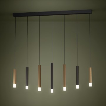 Eglo - Suspension filaire à intensité variable 7xLED/3,1W/230V 3000K anthracite/doré