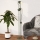 Eglo - Vloerlamp 2xE14/8W/230V groen