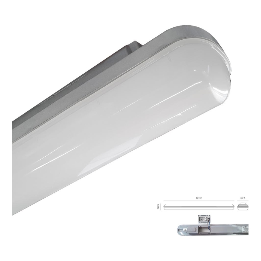 Emithor 31602 - LED Werklamp ELMINA LED/36W/230V IP65