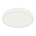 Emithor 49036 - Plafonnier LED pour salle de bain LENYS LED/18W/230V d. 190 mm IP44