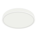 Emithor 49036 - Plafonnier LED pour salle de bain LENYS LED/18W/230V d. 190 mm IP44