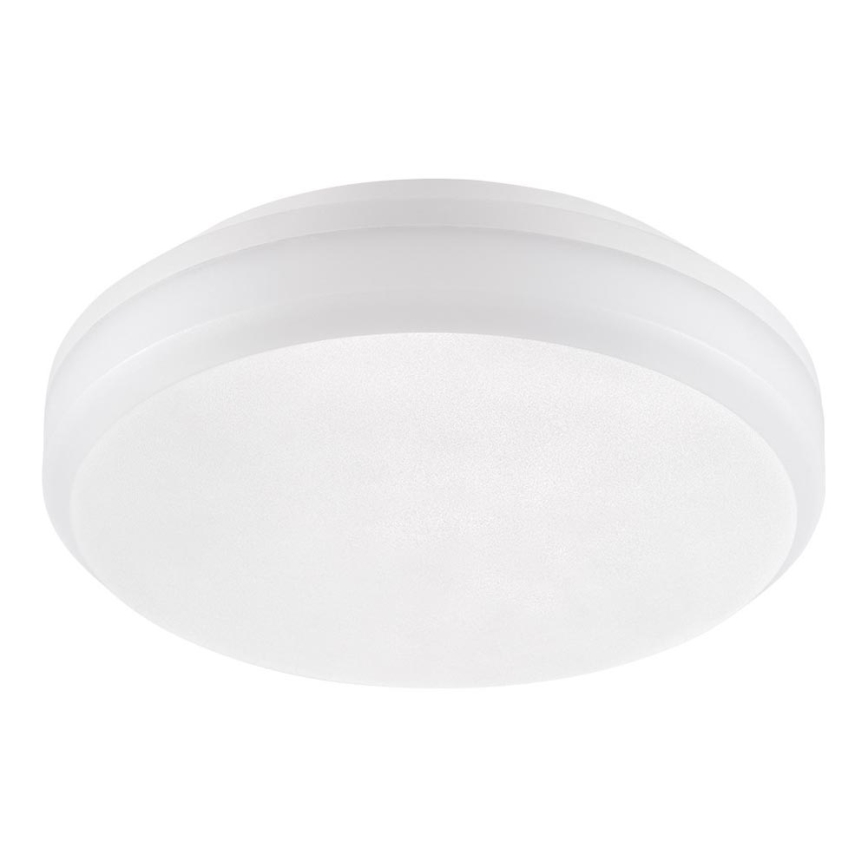 Emithor 63207 - LED Technické  Plafondverlichting SURFACE 1xLED/30W/230V IP65