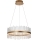 Endon 107671 - Suspension filaire à intensité variable ADRIEL LED/41W/230V 3000K d. 51 cm doré/transparent