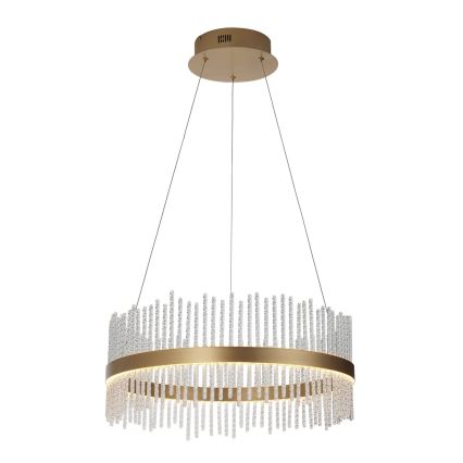 Endon 107671 - Suspension filaire à intensité variable ADRIEL LED/41W/230V 3000K d. 51 cm doré/transparent