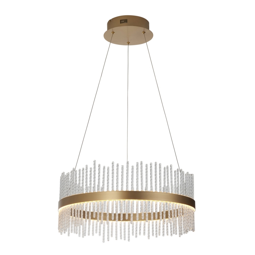 Endon 107671 - Suspension filaire à intensité variable ADRIEL LED/41W/230V 3000K d. 51 cm doré/transparent