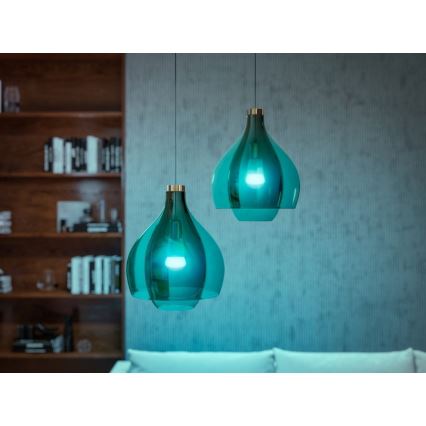 Ensemble de base Philips Hue WHITE AND COLOR AMBIANCE 2xE27/9W/230V 2000-6500K + appareil d