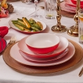 Ensemble de vaisselle 58 pièces blanc/rouge/porcelaine