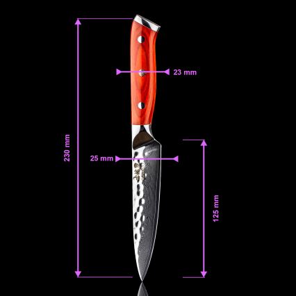 Gudaro - Lot de 5 couteaux de cuisine en acier damassé MIYABI + bloc pour couteaux et ciseaux à volaille