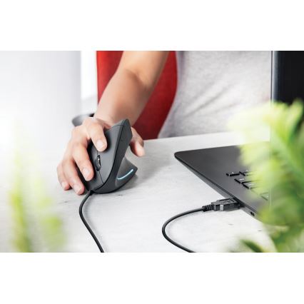 Ergonomische muis 1000/1600 DPI 6 knoppen