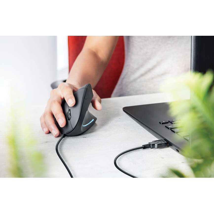 Ergonomische muis 1000/1600 DPI 6 knoppen