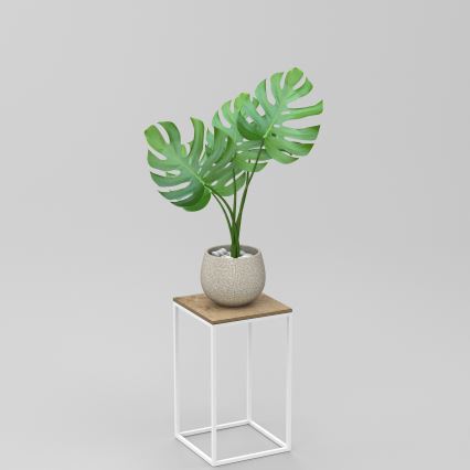 Étagère à plantes 40x24 cm blanc