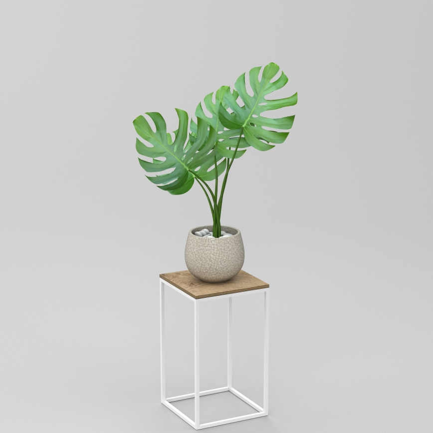 Étagère à plantes 40x24 cm blanc