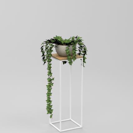 Étagère à plantes 70x24 cm blanc