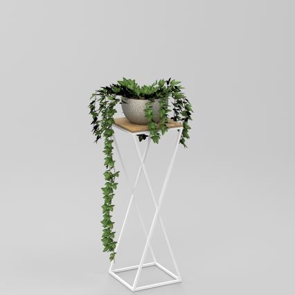 Étagère à plantes 70x24 cm blanc