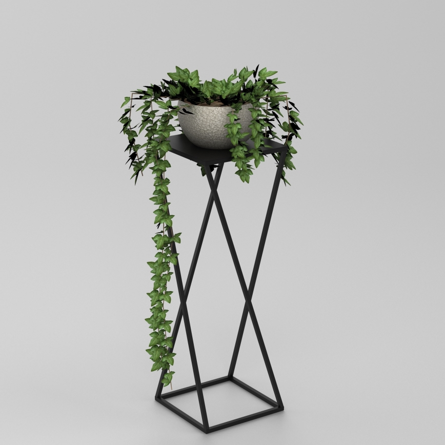 Étagère à plantes 70x24 cm noir