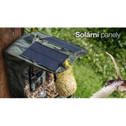 Evolveo - StrongVision BirdFeeder - Mangeoire intelligente pour oiseaux dotée d'une caméra et de panneaux solaires
