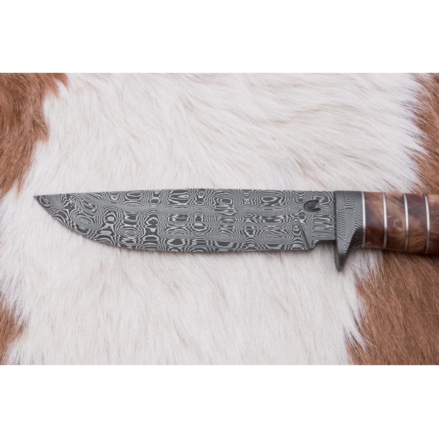 Exclusief Damascus-mes 14,4 cm kastanjeboom/mammoet tand