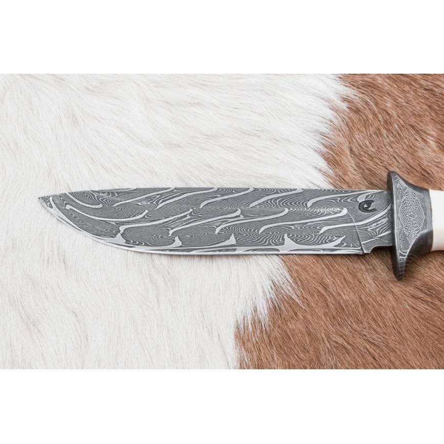 Exclusief Damascus-mes 15 cm mammoet slagtand