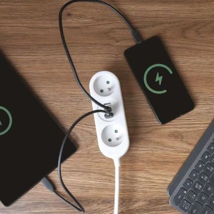 Extension de câble 2Z + 2x USB-A + USB-C 1,4 m