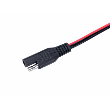 Extol Premium - Chargeur de batterie de voiture 9 étapes 6/12V 4A IP65